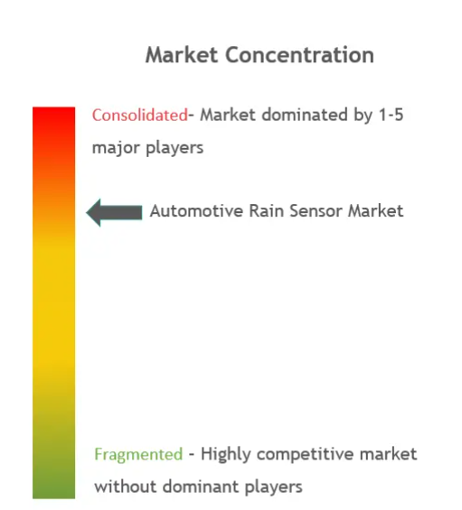 Automotive Rain Sensor Market Concentration